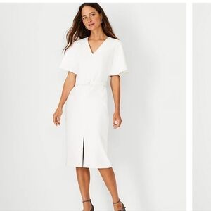 NWT | ANN TAYLOR | WINTER WHITE FLUTTER SLEEVE BELTED SHEATH DRESS | SIZE 0